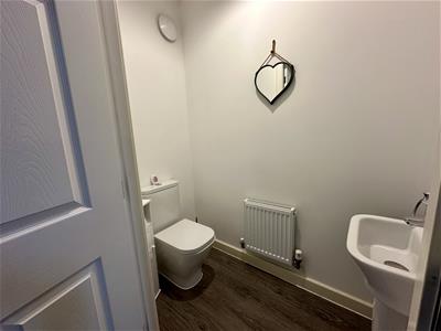 Picture 7